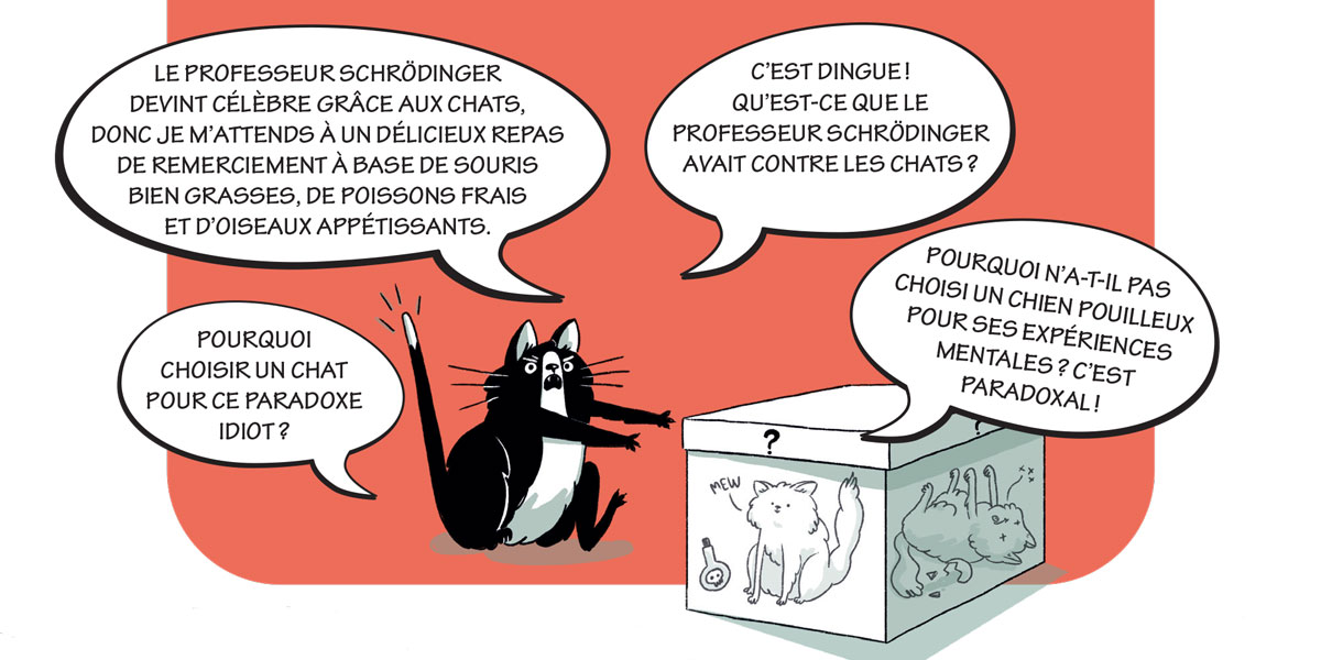 <em>Quésaco</em>: qu’est-ce que le paradoxe du «chat zombie» de Schrödinger?