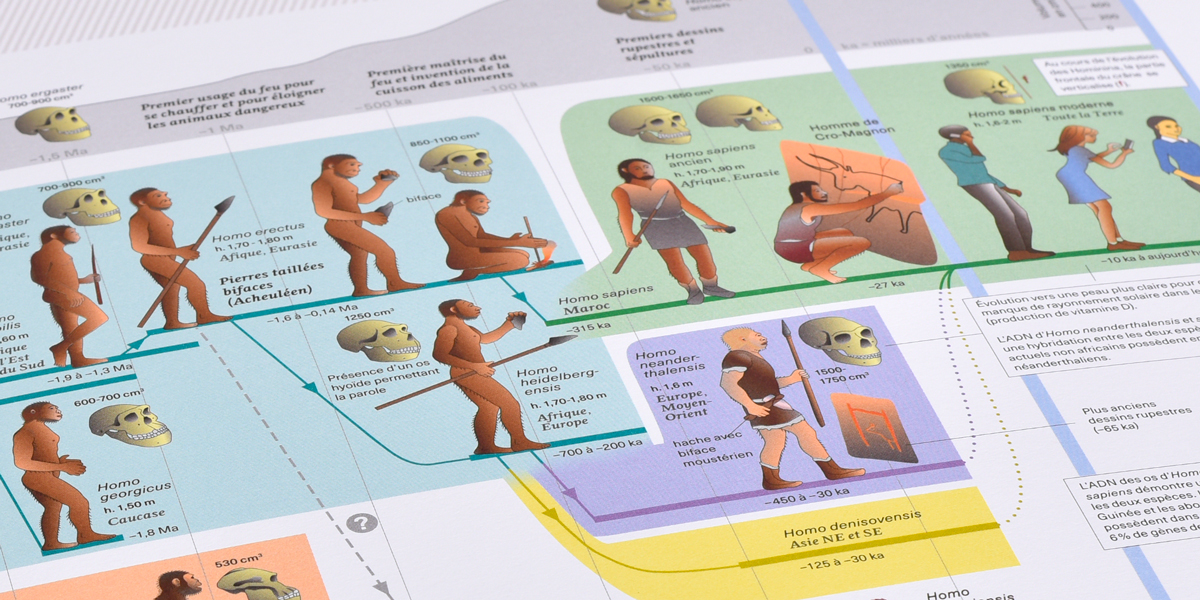 L’homme, un animal (presque?) comme un autre