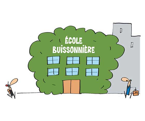 Vernissage – La culture du bâti